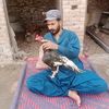 mbilal37136