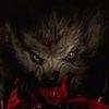thelivingnightmare1