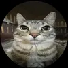 zxany_1.0