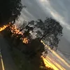alannah036