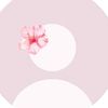 noura_abutaleb