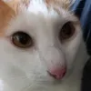 azzyazzie31
