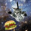 catngggg