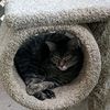 sleeperduper