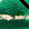 alab.noor
