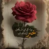 ommohamed5702