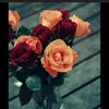 user750821