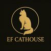 Cathouse jakarta