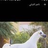 user9179913200376