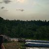 dafzz_sajaa019