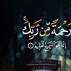 saroej_323