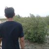 el.budiman95