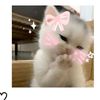 user6196743511juis