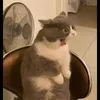_yeubongda6