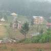 omfajeralenezi