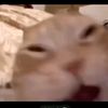 fued8euduf