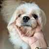 sirbarksalot_