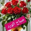 user4848567082493