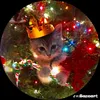 tresesanta