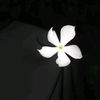 tasfiya.lsalm