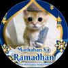 rofiq.jawa