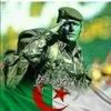 ziteryoucef