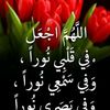 user287480778187
