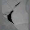 robertocarloslope475