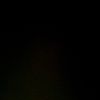 litsches_live