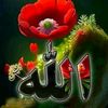 sultan_merdan