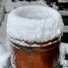 estherelmer7