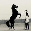 ابـو ؏ــبــد ا̍ڷــڬــڔٻۧــمۘ