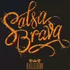 salsa🎶🎵