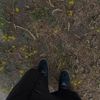 llnoura1_