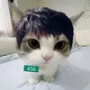 nose_soy_un_gato
