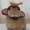 coolestgirlever28