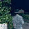 wonglosss58