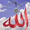 abo_hawar88