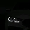 david_ores