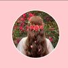 saima.akhter24