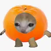 love_mandarinhiki