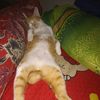 mulyanadewi27_