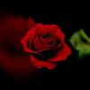 user8580324708007