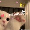 4ibnubatuta3