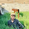 alay_pshtywan