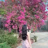 lethithuytrang10700
