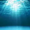 shallow049