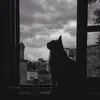 thutrang150728