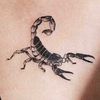 scorpiomoodboard