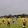 littlehampton_golds